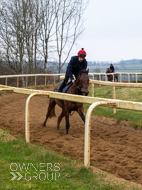 BP210325-28 - Squire Danagher